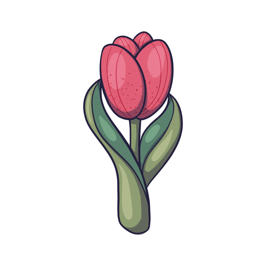 Cortador Tulipa Com Cabo 11 5cm Sem Carimbo Carinho De Comer cortador-tulipa-com-cabo-11-5cm-sem-carimbo-carinho-de-comer